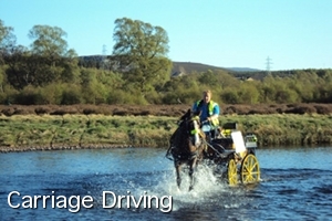 Carriage Driving at Newtonmore Riding Centre