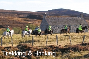 Trekking and Hacking at Newtonmore Riding Centre